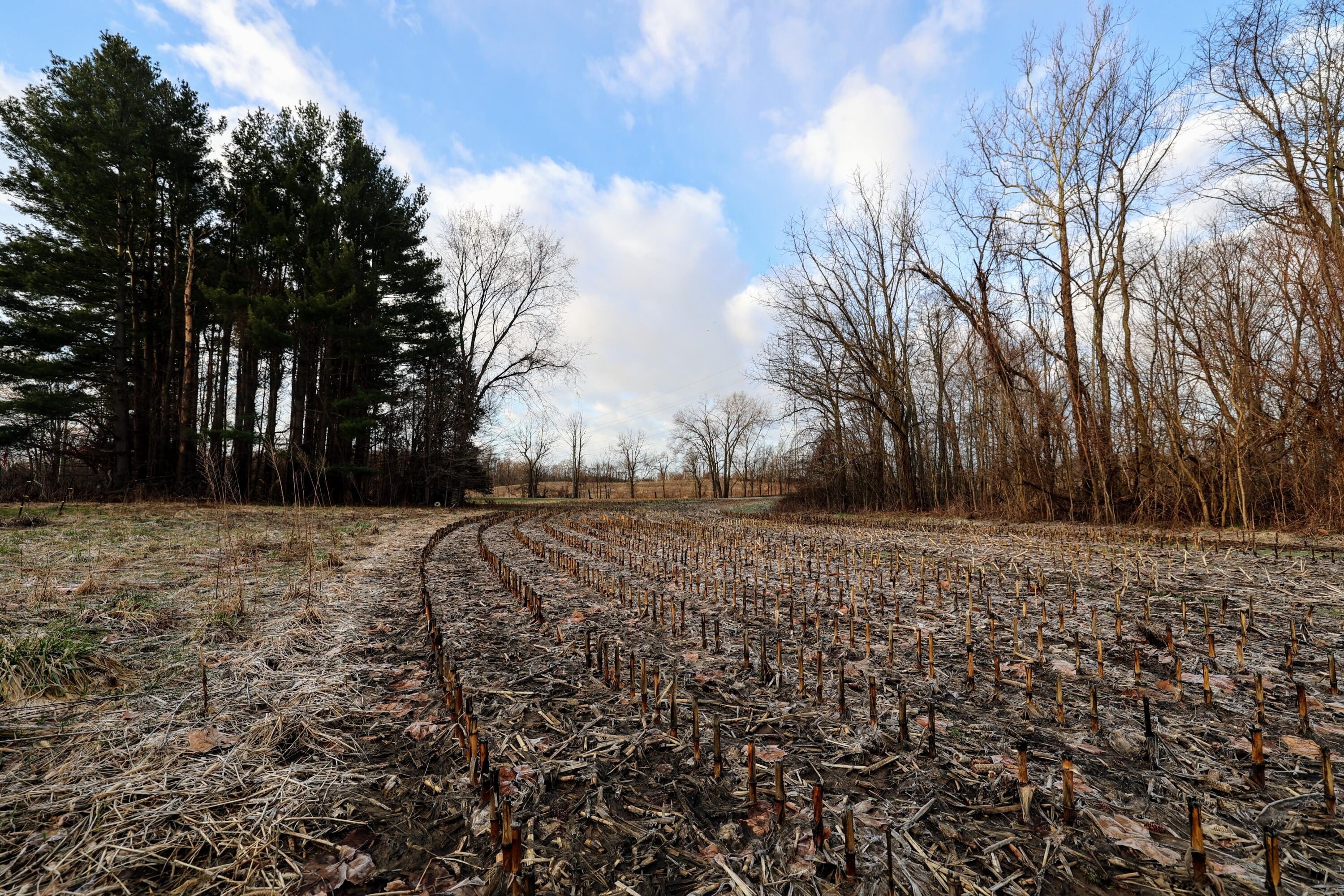 48 Acres of Recreational Farmland