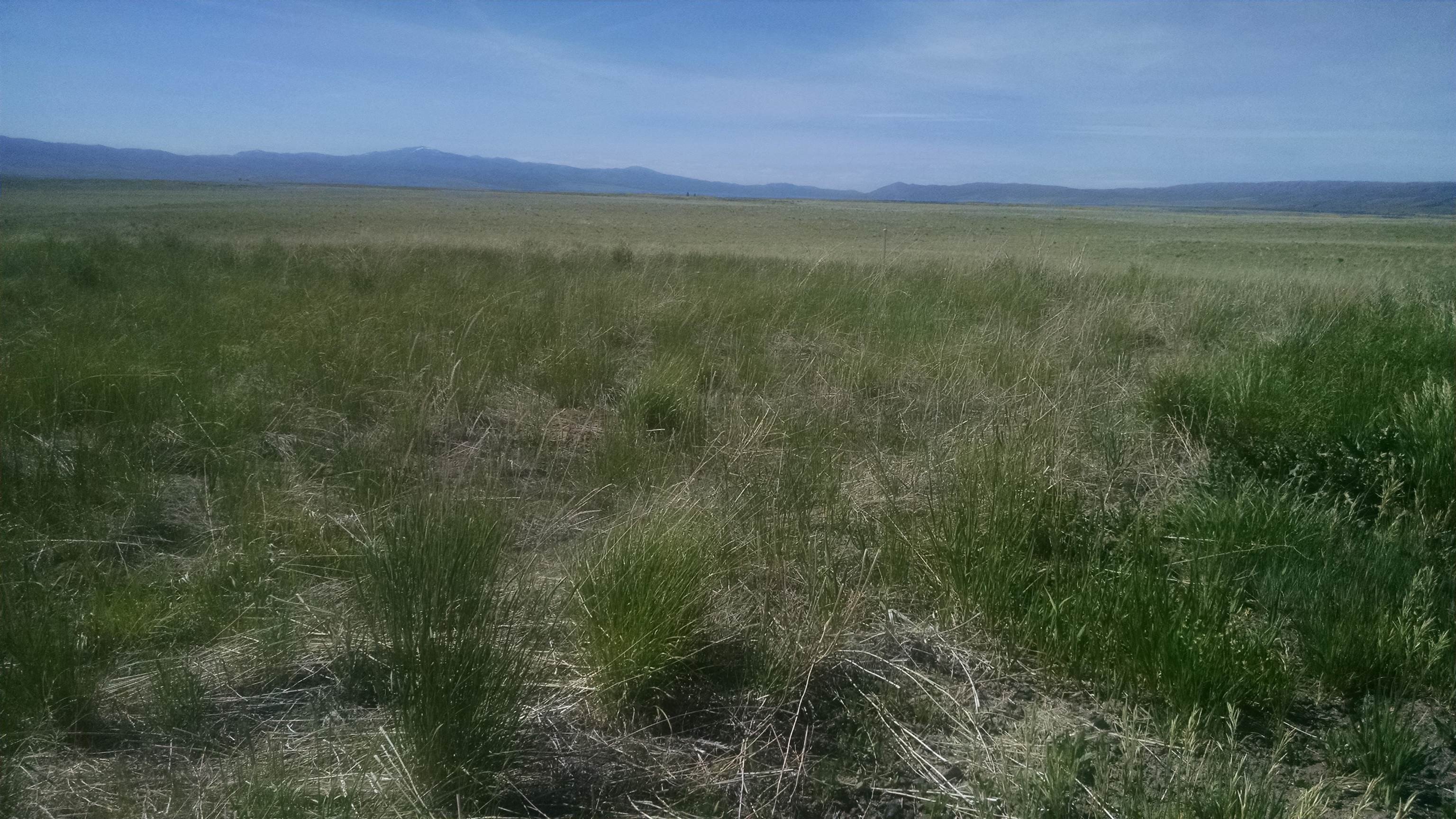 635 Acres of Prime Farmland