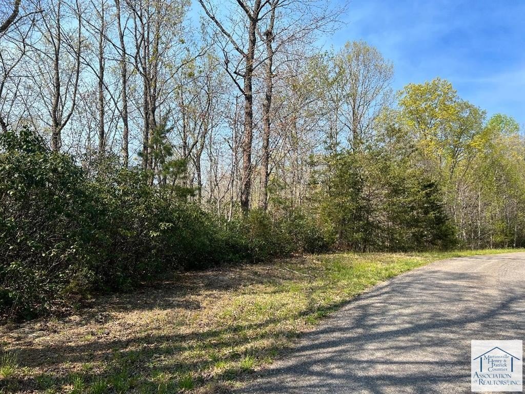 Residential Land in Patrick Springs