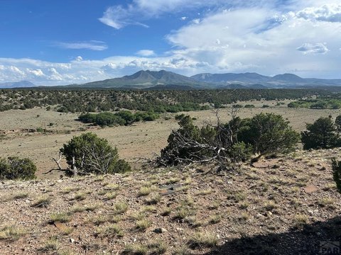 Hunting and Agricultural Land Parcel
