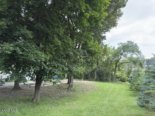 Picture 3
