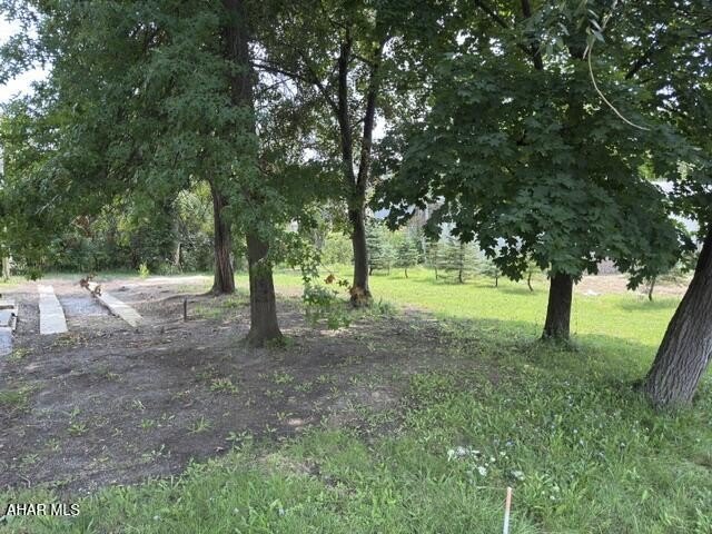 Picture 2