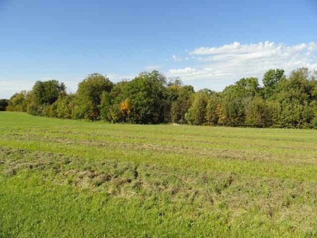 Picture 33