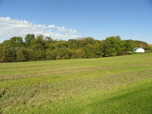 Picture 32