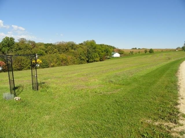 Picture 28