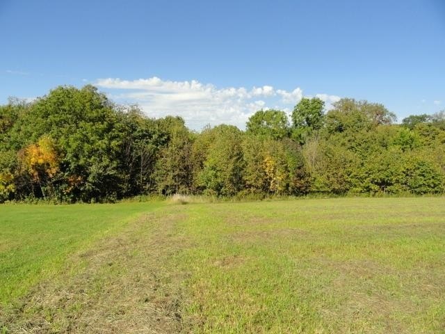 Picture 30