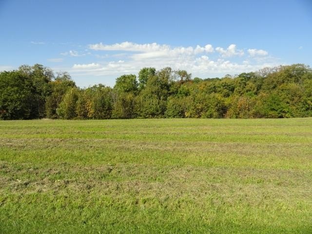 Picture 26