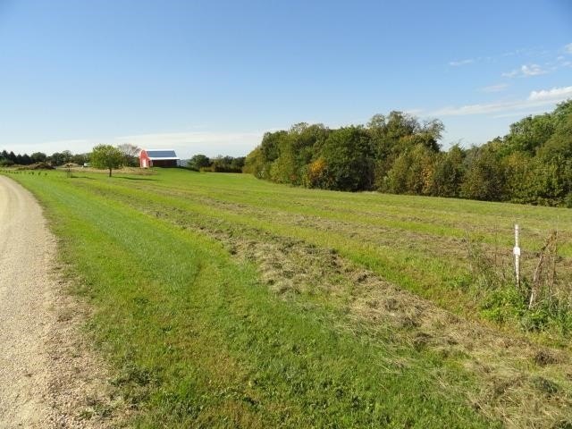 Picture 24