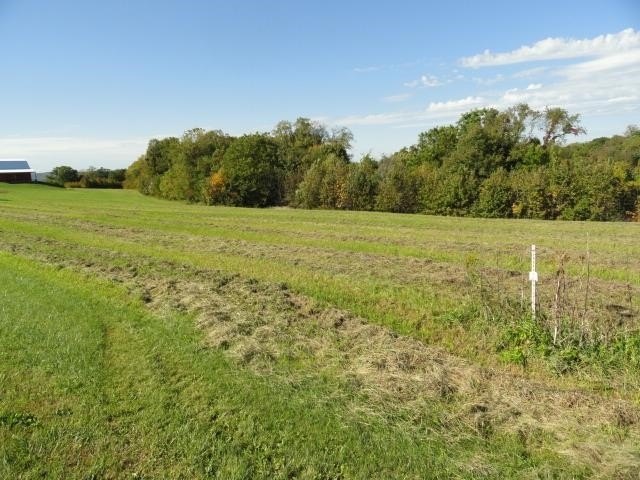 Picture 25