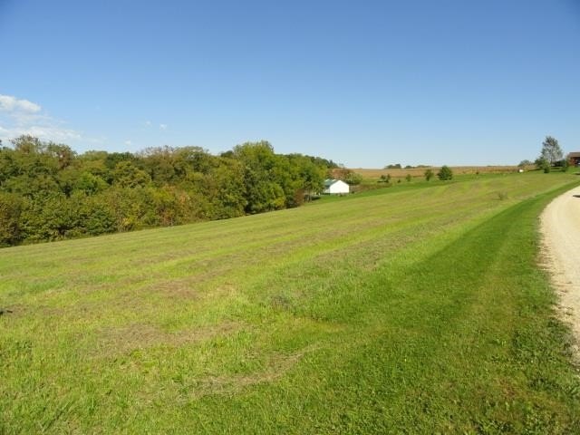 Picture 27