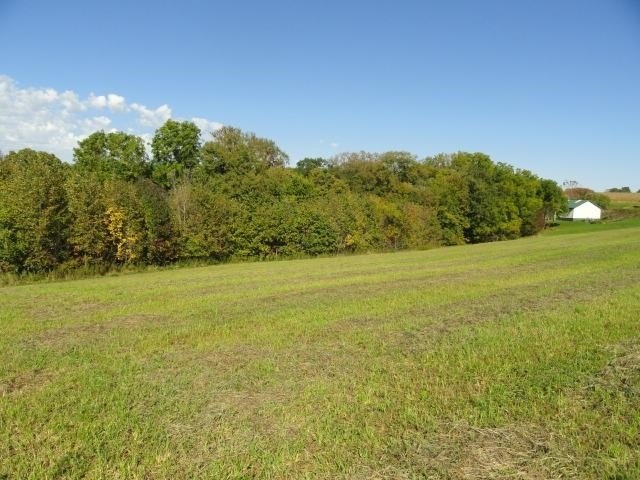 Picture 31
