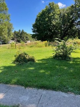 Corner Lot in Three Rivers