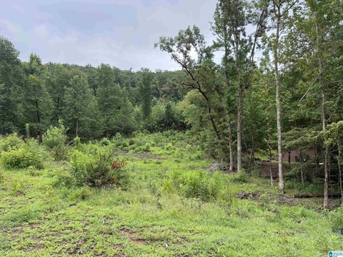 LAND - BIRMINGHAM, AL