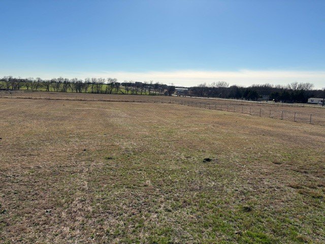 Picture 14