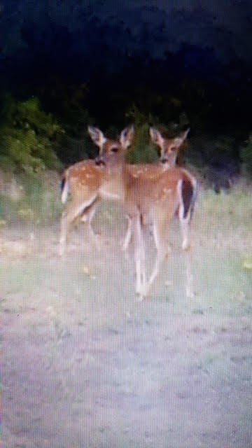 Picture 3
