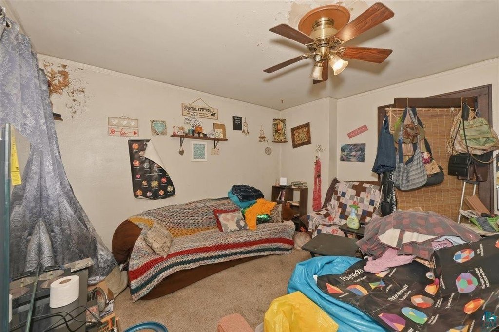 Picture 18