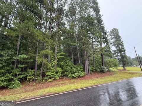 LAND - Moreland, GA