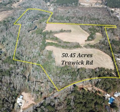 50.45 Acres on Trawick Rd