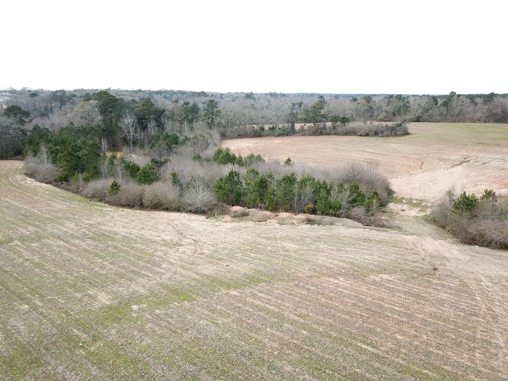Picture 41