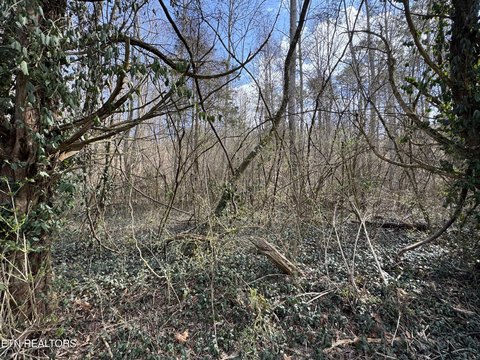 60-Acre Land Parcel in Tennessee