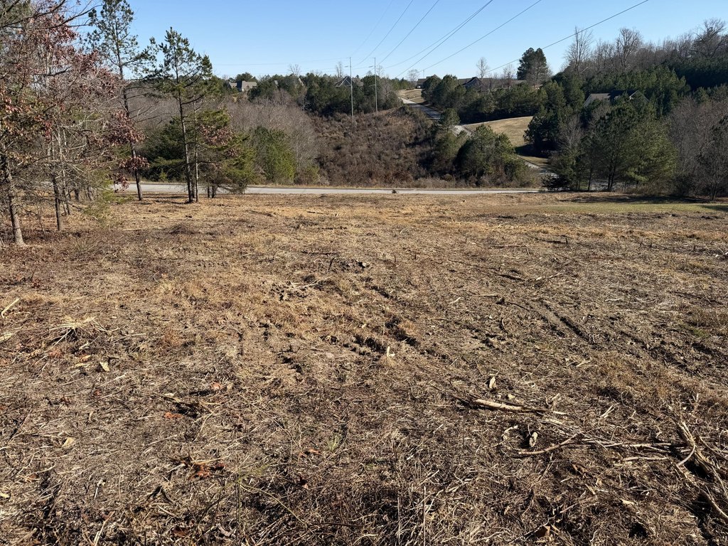 Picture 11