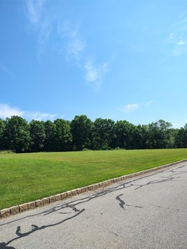 LAND - Blooming Grove, NY