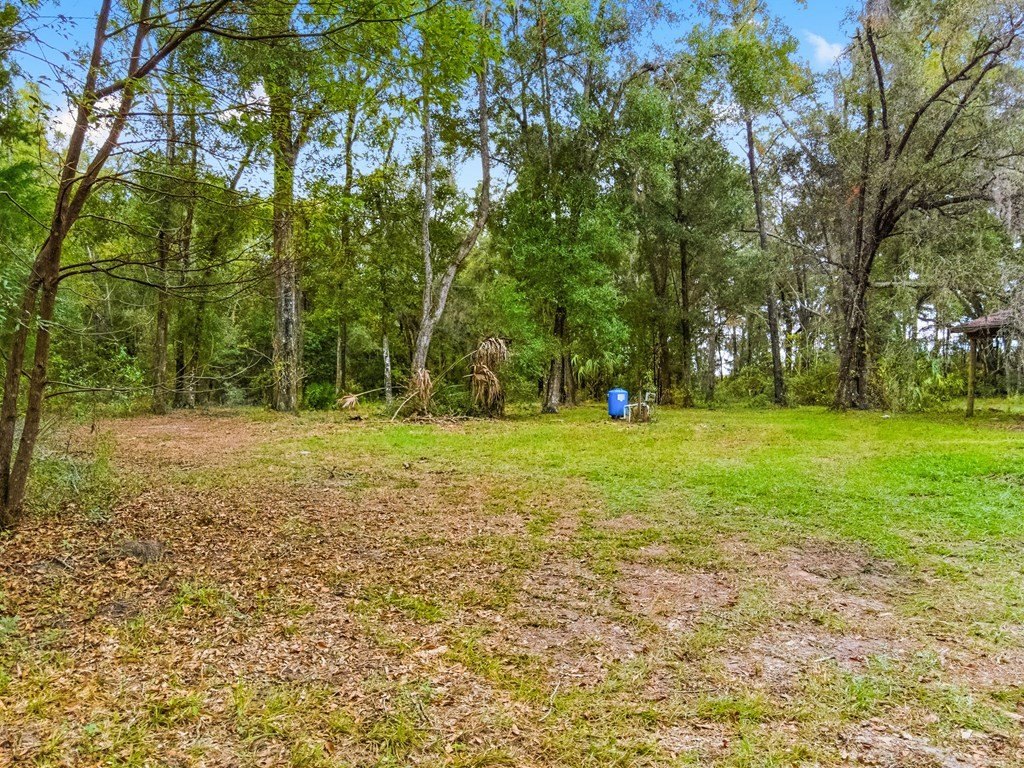 Picture 18