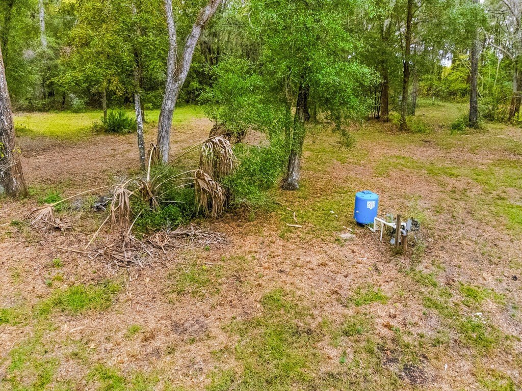Picture 19