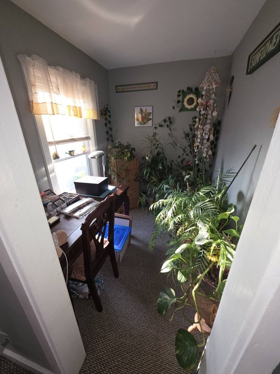 Picture 23
