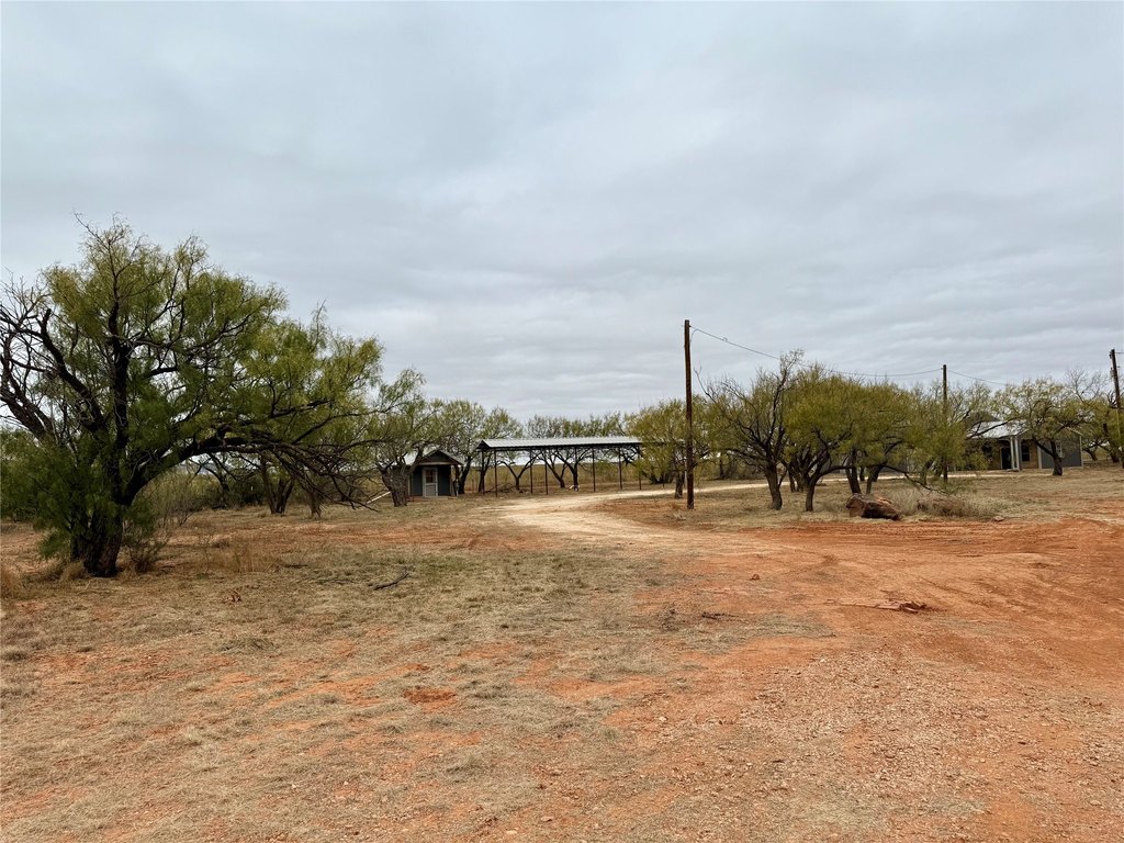 Picture 20