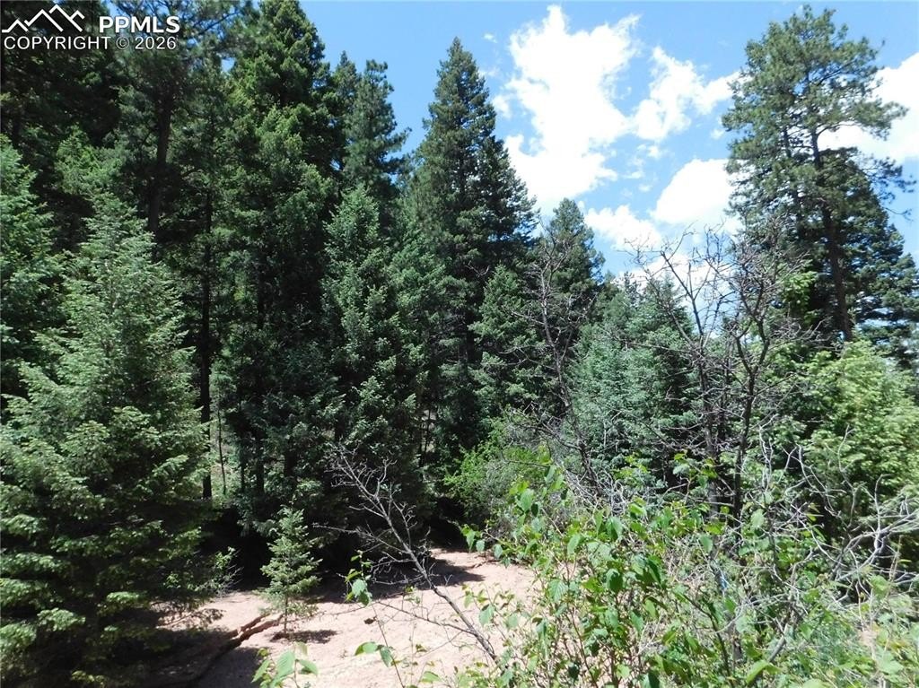 Larkspur Land Ready-to-Build
