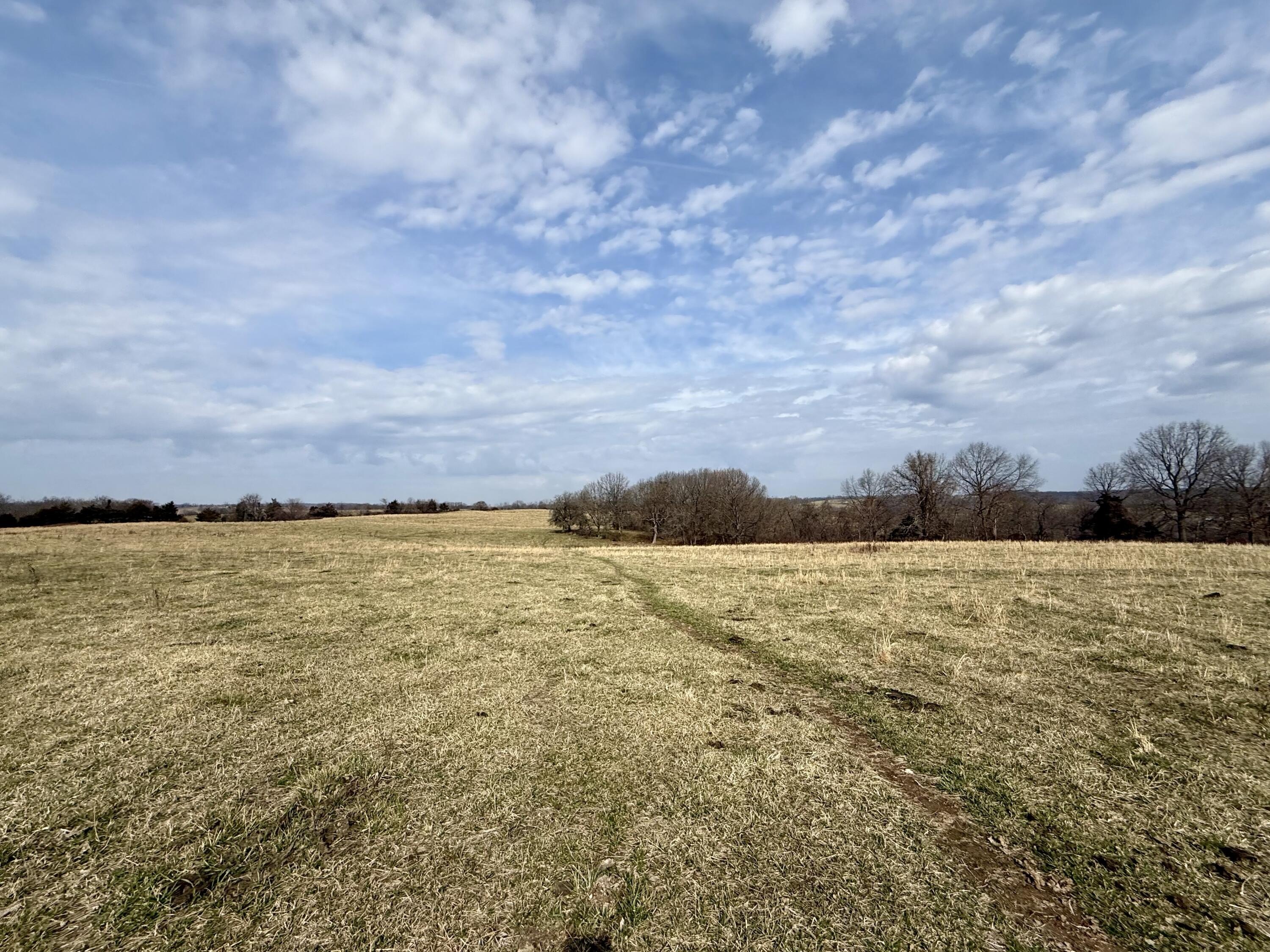 88 Acres of Prime Land