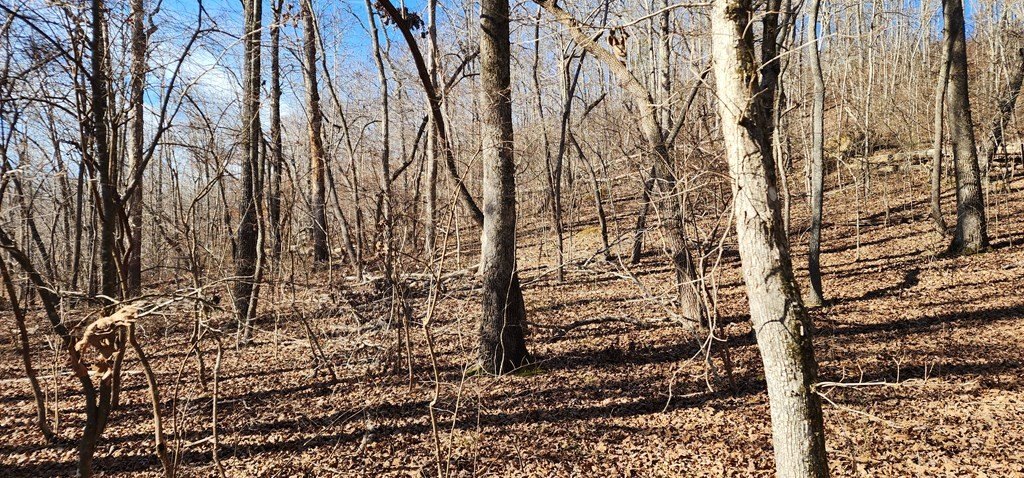 Picture 3