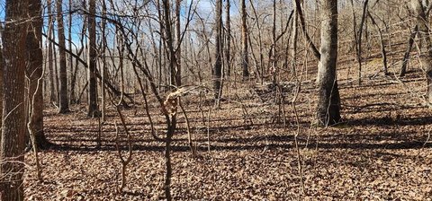 Unrestricted Land in Holladay, TN