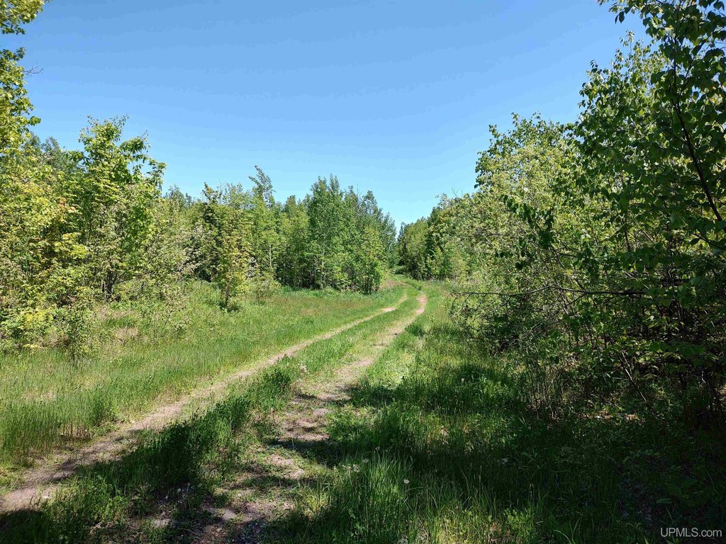 Picture 8