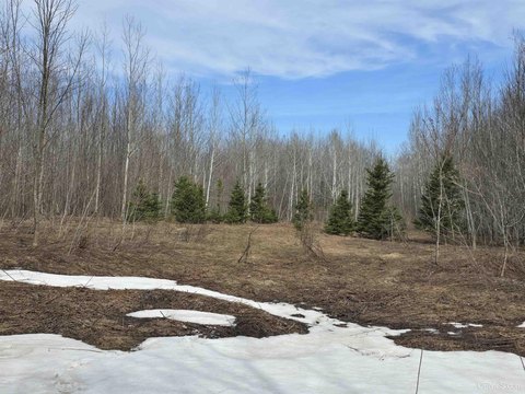 Wooded Land Parcel in Ontonagon
