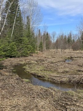 Wooded Land Parcel in Ontonagon