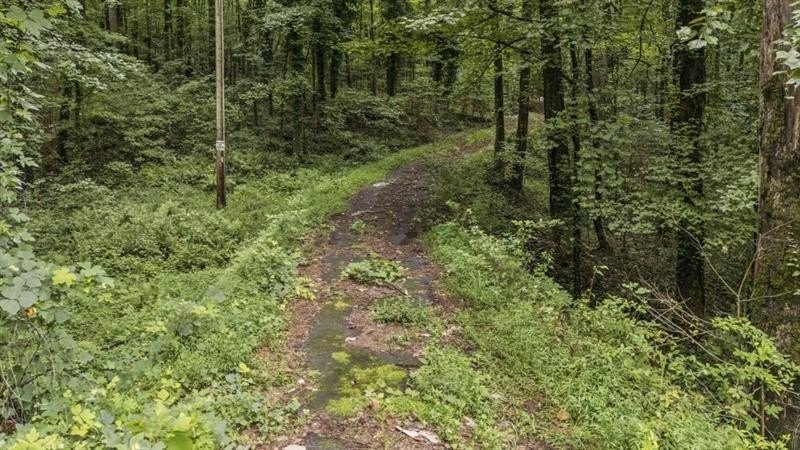 Picture 13