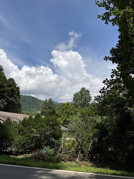 Wooded Mountain Acreage with Cleared Homesite