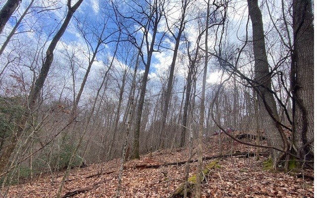 Picture 10