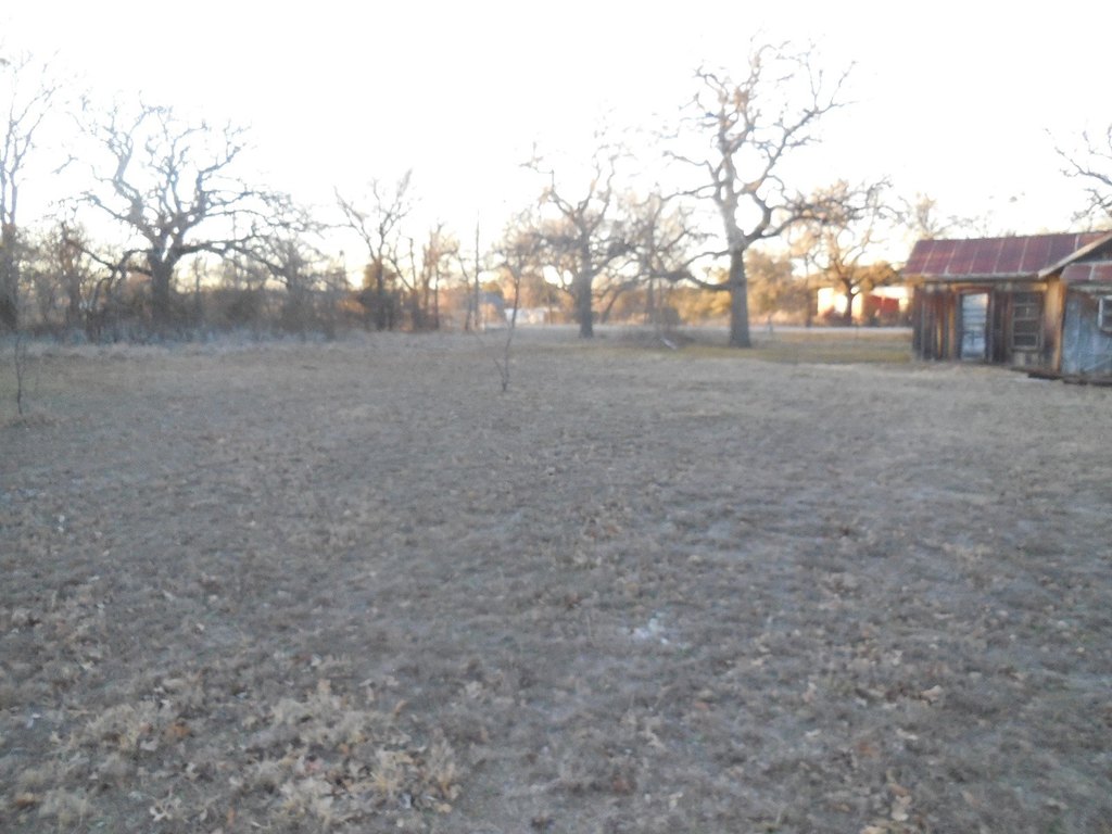 Picture 12