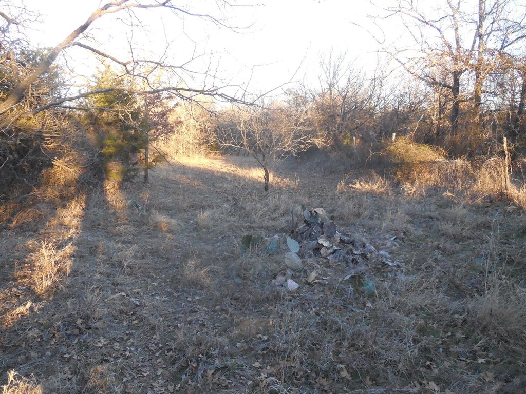 Picture 9