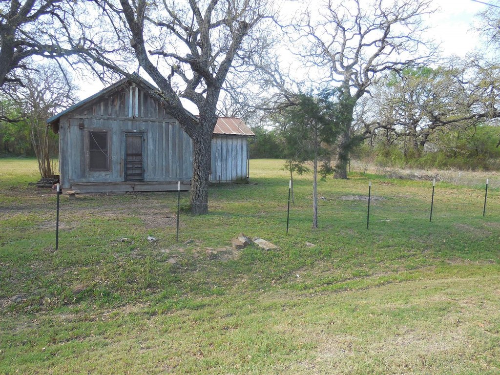 Picture 13