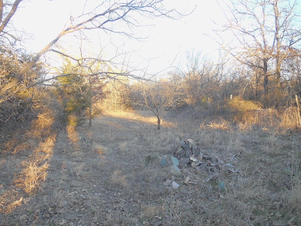 Picture 10