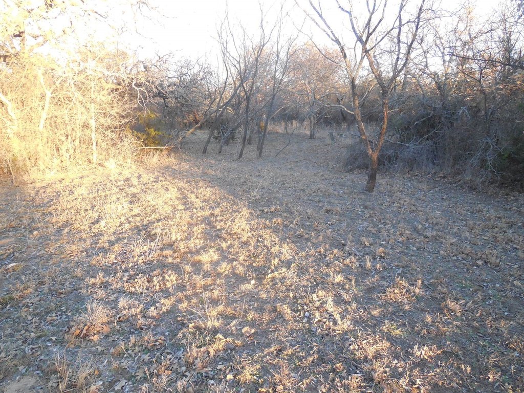 Picture 7