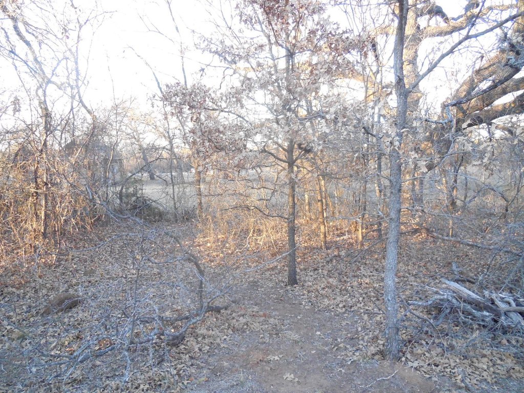 Picture 11