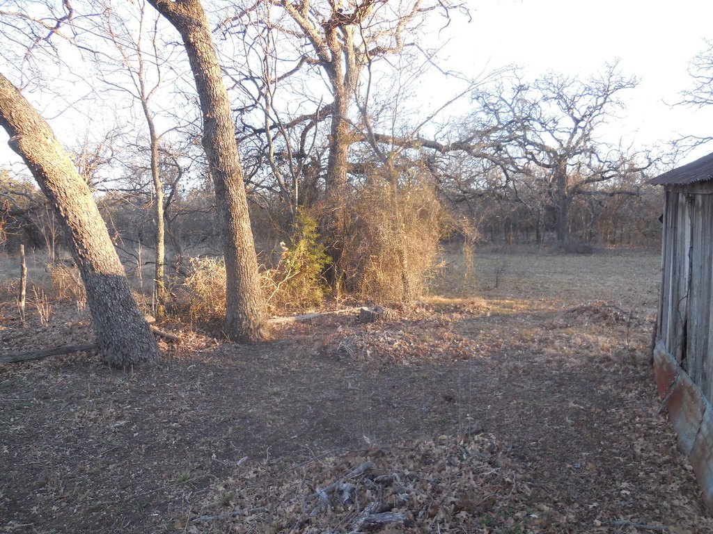 Picture 4