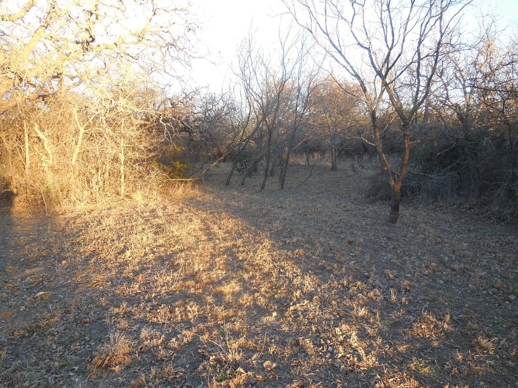 Picture 8