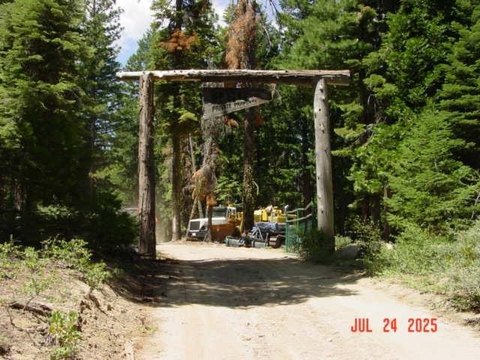 Forested Land with Income Potential