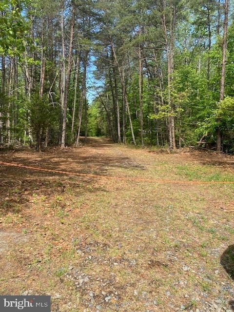 RUTHER GLEN 58-Acre Wooded Land